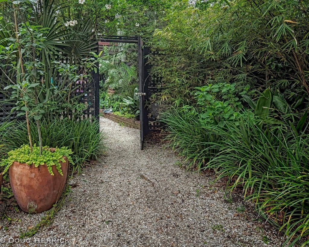 savannah garden club tour